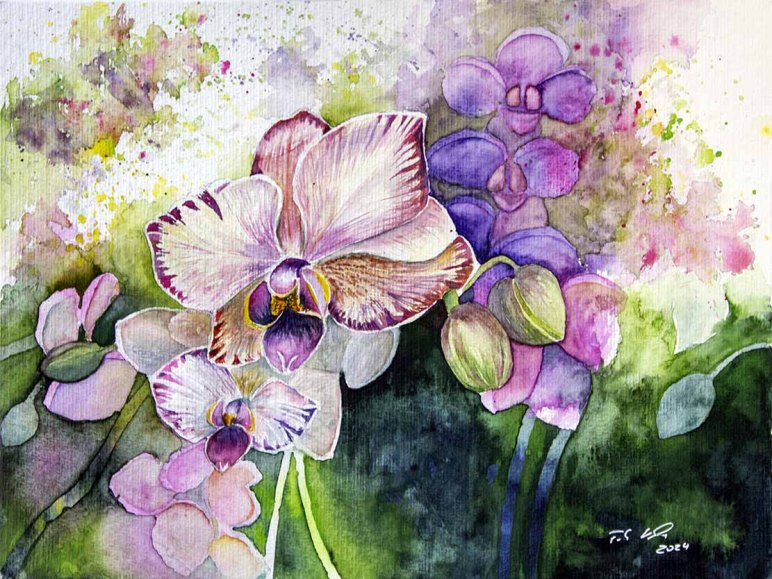 Farbspiel mit Orchideenblüten (c) Aquarell von Frank Koebsch
