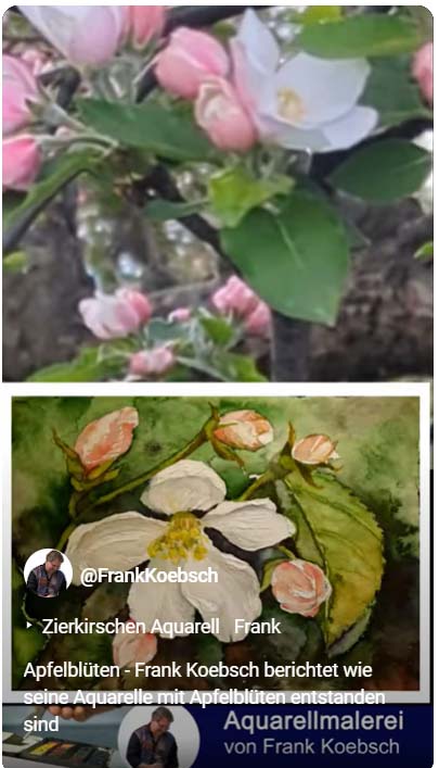 Apfelblüten - Frank Koebsch berichtet wie seine Aquarelle mit Apfelblüten entstanden sind (4)
